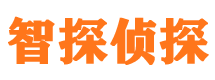 洪江外遇出轨调查取证